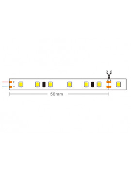 Tira LED APOLO 220V 16W/m IP65 Ancho 12mm Corte cada 5 cm -AXOLED-