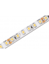 Tira LED 24V DC 120LED/m 5m Ancho 8mm